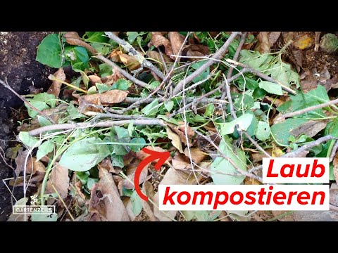 Laub kompostieren - Diesen Fehler solltest du unbedingt vermeiden!
