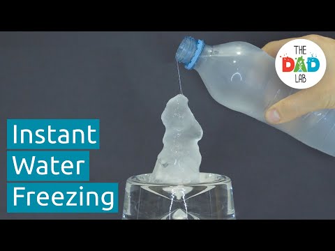 How To Make Instant Ice Science Experiment | Simple Science