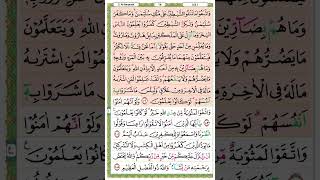 Download lagu Alaa Aqel | Page 016 | Surat al Baqarah (2) Ayat 102-105 #albaqarah #tadarusalquran #tadarusperpage mp3 Download lagu Alaa Aqel | Page 016 | Surat al Baqarah (2) Ayat 102-105 #albaqarah #tadarusalquran #tadarusperpage mp3