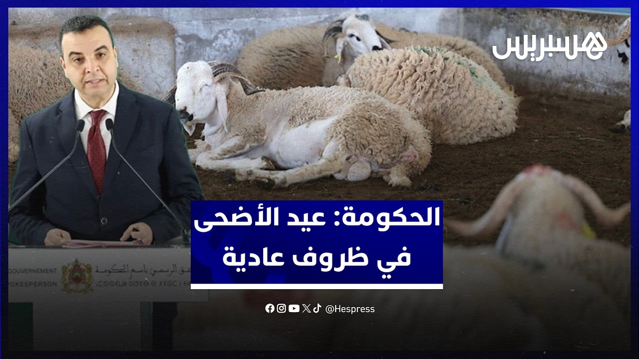 الحكومة: عيد الأضحى في ظروف عادية هذه السنة.. وكلأ المواشي متوفر محليا thumbnail