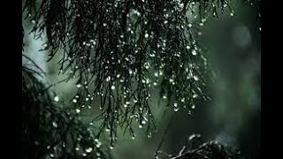 Som de Chuva Forte para Dormir