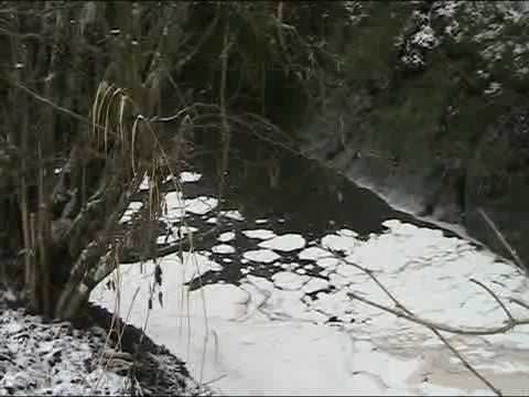 Ölunfall in Bitburg