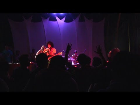 Goodleaf - Dub Party