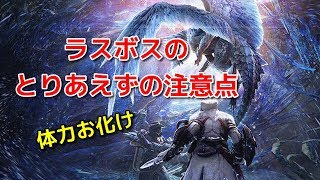 【MHW:IB】(not RTA)”導かれた者の歌”ラスボス攻略ソロ向け【モンスターハンター/アイスボーン】
