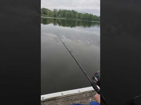 Fishing at the lake