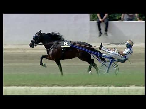 Napoli Trotto 23/05/2021 - 5ª corsa