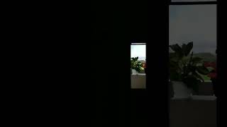 Download lagu Berbagai jenis tanaman hias #shorts #tanamanhias mp3