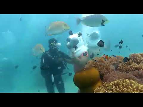 sea Walk in Andaman Islands