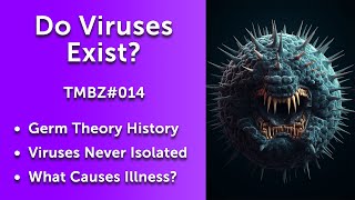 Do Viruses Exist?