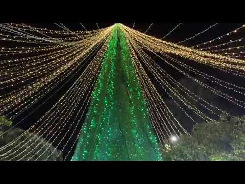 El Centro Administrativo de #Tauramena también se iluminó para recibir a los turistas y propios.