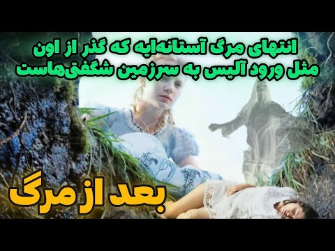 ❗️جفری لانگ/ فضایی خاکستری بین زندگی و مرگ است و اونجا جاییستکه تجربیات نزدیک بمرگ اتفاق می‌افتند