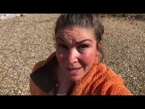 Odla Lavendel Beskärning och ta Sticklingar