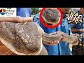 TOP 7 PINAKA MALAKING KING COBRA NA NAHULI NG MGA TAO Cobra Facts Amazing Moment