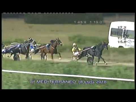 Trotto Corse del 18 LUGLIO 2018