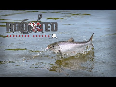 Addicted Alaska | A Story of Adventure, Friendship, & Inspiration