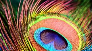 Olivia Newton John - Love Song (Late Night Tales: Friendly Fires)