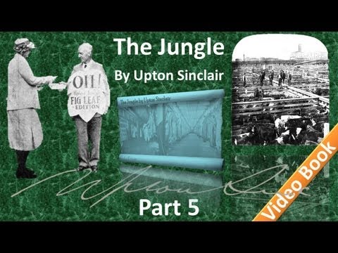 Part 5 - The Jungle Audiobook by Upton Sinclair (Chs 18-22)