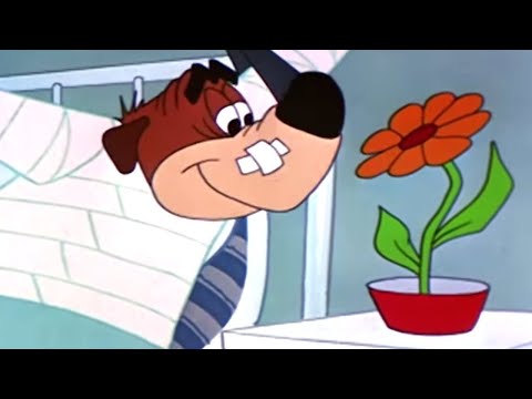 Chilly Willy Full Episodes 🐧Hold that Rock - Chilly Willy old cartoon 🐧Videos for Kids