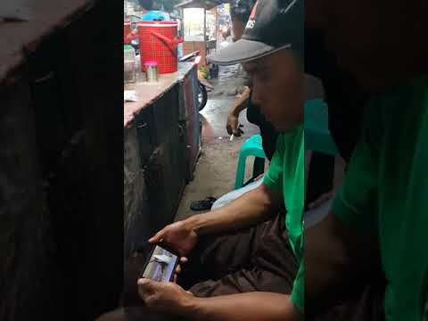 mp3 takyun curanmor mp3 takyun curanmor