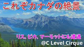 これぞカナダの山！湖！動物！中級なのに絶景 / This is the Canadian mountains, lakes and wild animals!