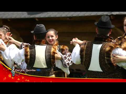 ANSAMBLUL FLORI DE BUCOVINA