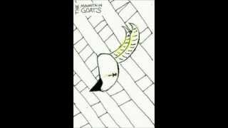 the Mountain Goats - Eleven Bands