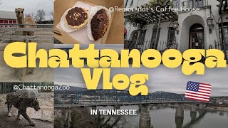 【お出かけVlog】チャタヌーガへ日帰り旅！動物園＆WalnutStreetブリッジへ！3年ぶりのお気に入りカフェ☕🍰◆アメリカ生活, 国際結婚,テネシー州 #9