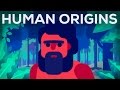 What happened before history? Human origins