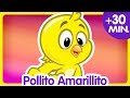 POLLITO AMARILLITO Compilado De Clips 30 Min Canciones Infantiles De La Gallina Pintadita