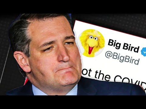 Ted Cruz TRIGGERED By Big Bird