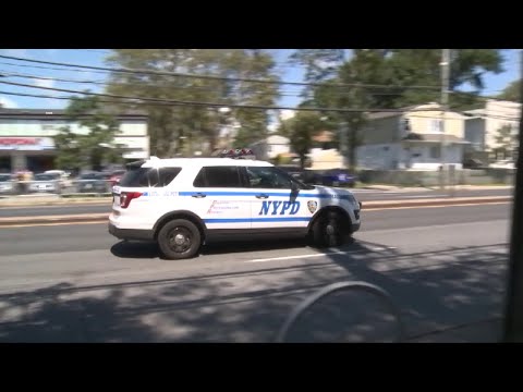 NYC Vision Zero Campaign Starts