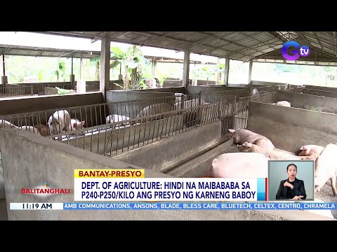 Hindi na maibababa sa P240-P250/kilo ang presyo ng karneng baboy — Dept. of Agriculture BT