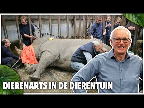 , title : 'OVER DE WERKZAAMHEDEN VAN DE DIERENARTS - met Henk Luten | Burgers' Zoo College'