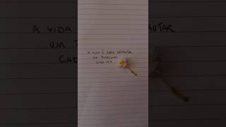 Desfrute do caminhar 🌻 #frases