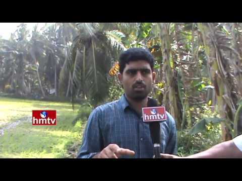 Preparing Your Farm For Drought | Importance of Soil Testing | Organic Farming | Nela Talli | HMTV