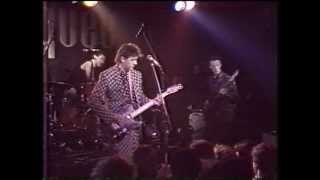 Robyn Hitchcock - Kingdom Of Love - (Gotta Let This Hen Out, 1985)