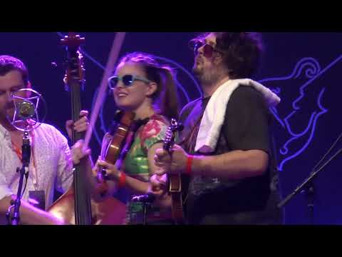 East Nash Grass full set, Bluegrass in La Roche, August 2024