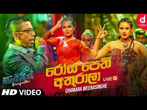 Rosa Pethi Athurala (Live) - Chamara Weerasinghe | Sinhala Live Show Songs | Sinhala Live Show 2020