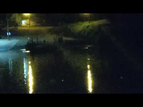 Balsa do Rio Uraí em Japurá-Pr 