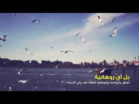 al_hadil’s Video 111967073371 dGlE9vcWONY