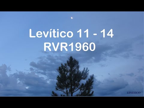 La Biblia en un año/Levítico 11 - 14 (Audio, Letra) Día 36