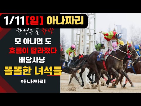 1/11 일요-윤택-경마 아나짜리 확~달라진 흐름은 곧 배당기류