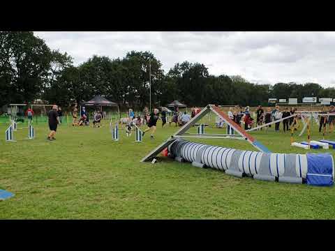 2019-08-03 Riley BCC VP 3 fout