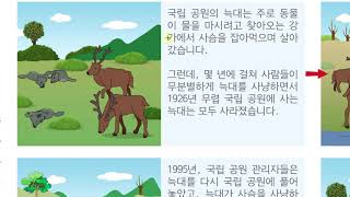 [초등과학 5-2 무료강의] 2. 생물과 환경 ④ 생태계는 어떻게 유지될까요?