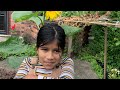 Sabria S Sunflower Grew In Our Garden Short