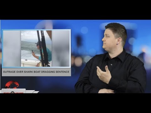 Outrage over shark boat dragging sentence (ASL - 3.1.19)