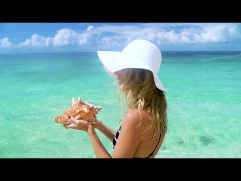 探索墨西哥加勒比海 - Expedia (Discover the Mexican Caribbean | Expedia)