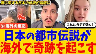 【海外の反応】日本の都市伝説的な裏ワザが海外で大注目→「まさか本当に効くとは…」海外SNSで話題の日本式迷い猫メソッドとは？