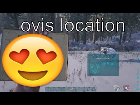 BEST OVIS / MUTTON LOCATION ARK GENESIS PT.1 (Ark Survival)