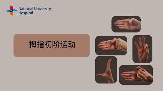 Active Range of Motion Exercises for the Thumb (Chinese)